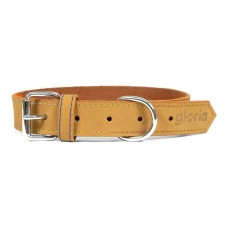 Dog collar Gloria Oasis Yellow (70 x 3 cm)