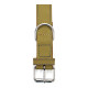 Collar para Perro Gloria Oasis Verde (55 x 2,5 cm)