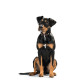 Dog collar Hunter Swiss 35-43 cm