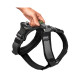 Arnés para Perro Hunter Maldon Up Negro 46-82 cm S/M