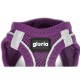 Dog Harness Gloria 41,4-43 cm Purple S 29,4-32,6 cm