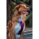 Dog Harness Red Dingo Dingo 38-58 cm 46-63 cm Purple M