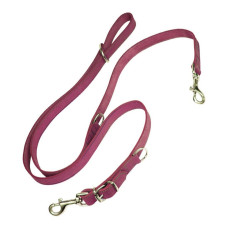 Correa para Perro Gloria Oasis Múltiple 2.1 x 200 cm Rosa