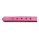 Collar para Perro Gloria Acolchado Fucsia (50 x 2,5 cm)