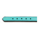 Collar para Perro Gloria Acolchado Turquoise 55 cm (55 x 2,5 cm)