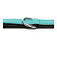 Collar para Perro Gloria Acolchado Turquoise 55 cm (55 x 2,5 cm)