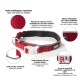 Dog collar Dog Gone Smart Red 12 Light