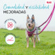 Correa para Perro Company of Animals Burdeos L