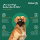 Bozal Company of Animals Negro 4