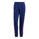 Long Sports Trousers Adidas Reverse Retro Future Icons Blue Men