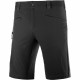 Men's Sports Shorts Salomon Wayfarer Men