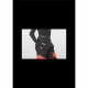 Pantalones para Nieve Picture Seen Coral Negro