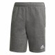 Men's Sports Shorts Adidas Tiro 21 Dark grey