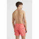 Bañador Hombre O'Neill Vert 16'' Coral