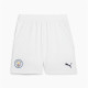 Adult Trousers Puma Manchester City 24/25 Men