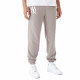 Pantalón Largo Deportivo New Era League Essential New York Yankees Marrón Hombre