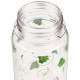 Botella de Agua Regatta  Frog