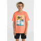 Camiseta de Manga Corta Hombre O'Neill Jack Neon Living Naranja