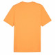 Camiseta de Manga Corta Hombre Puma Graphics Mountain e Clementine  Naranja