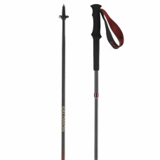 Set de 2 bastones de trekking Salomon Quest Carbon Foldable Negro 120 cm