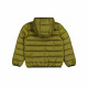 Men's Sports Jacket Champion Hooded Green
