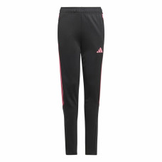 Pantalón Deportivo Infantil Adidas Tiro23 Cbtr