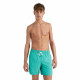 Bañador Hombre O'Neill  Vert Swim 16