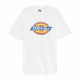 Men’s Short Sleeve T-Shirt Dickies Icon Logo White