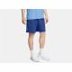 Sports Shorts Under Armour Woven Wdmk Blue