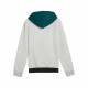Sudadera con Capucha Niño Puma Essentials Block