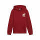 Sudadera con Capucha Niño Puma Essentials+ Mid 90S