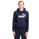 Sudadera con Capucha Hombre Puma Essentials Big Logo