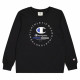 Men’s Long Sleeve T-Shirt Champion