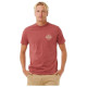 Camiseta de Manga Corta Hombre Rip Curl Staple