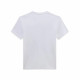 Camiseta de Manga Corta Hombre Vans Fungi Box Fill