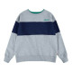 Sudadera Infantil Levi's Colorblock Crewneck Gris claro