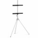 Soporte TV One For All WM7462 32