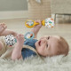 Rattle Fisher-Price MES PREMIERES MARACAS 2 Pieces