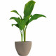Plant pot Garden ID Taupe 30 x 26 cm