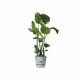 Plant pot Elho Greenville Ø 24,48 cm Plastic