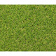 Césped Artificial Exelgreen Campus 2D 1 x 5 m 25 mm