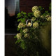 Solar lamp Garden ID Lagune