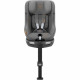 Silla para el Coche Cybex Gris