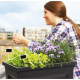 Soporte para plantar EDA Gris 73 x 38,5 x 68 cm Vegetales Mesa de Cultivo