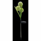 Solar lamp Galix G4510 Multicolour