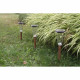 Solar lamp Canopo Natural 20 Lm (3 Units)