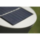 Solar lamp White 30 Lm