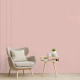 Primer Paint Ripolin Rose Satin finish
