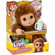 Muñeco Bebé Moose Toys My Baby Monkey