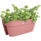 Maceta Elho Vibia Campana Flower Bridge 60 Rose 26 x 59 x 22 cm